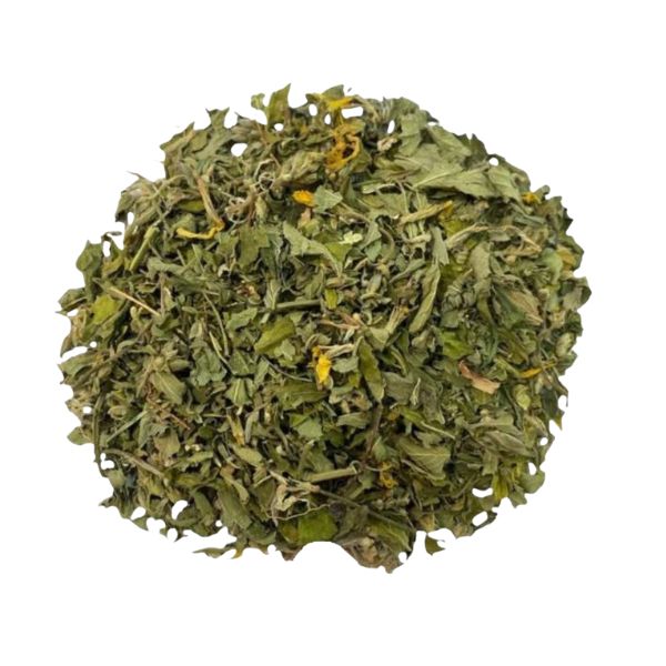 DAMIANA NACIONAL - CHANANA CH� - (TURNERA ULMIFOLIA)